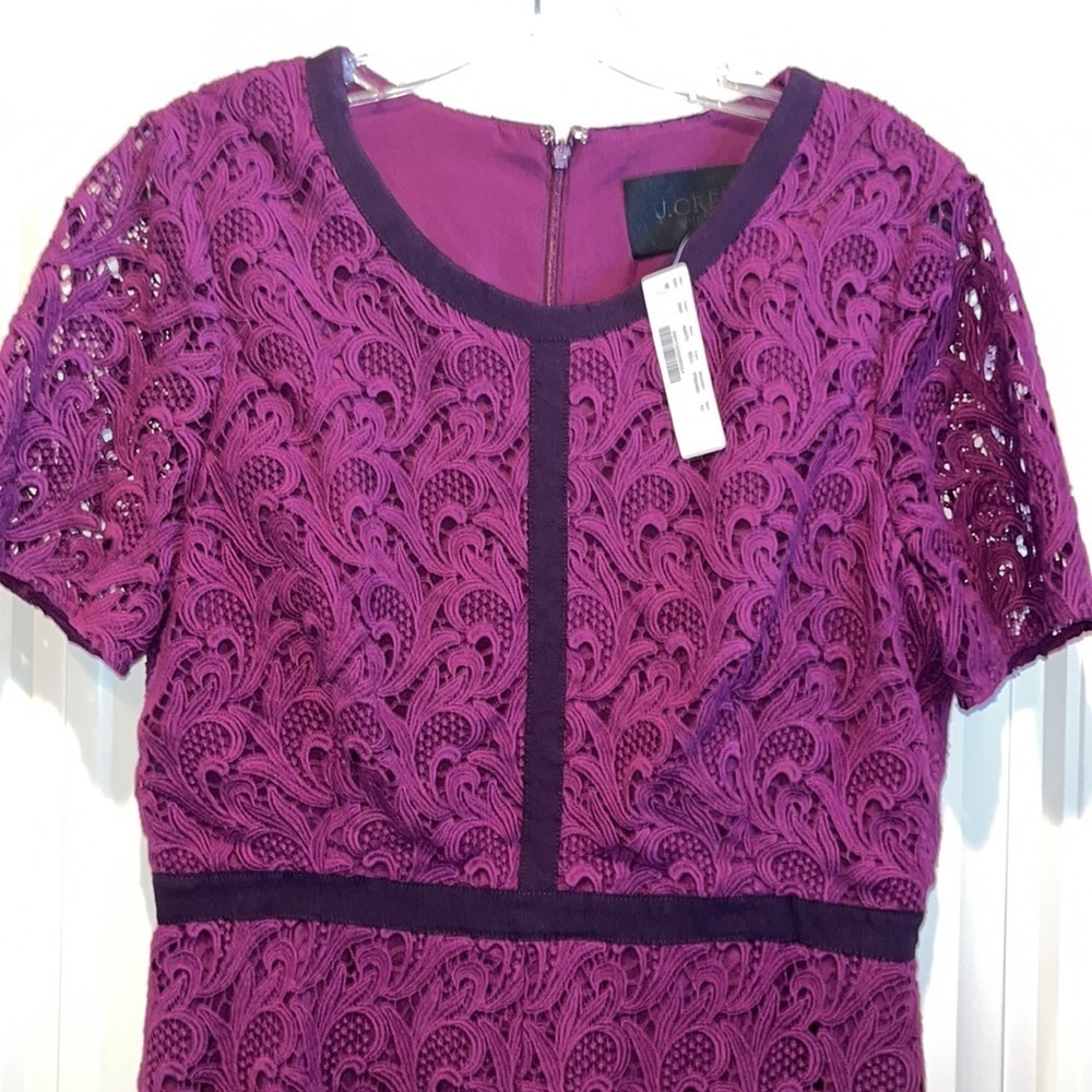 Gorgeous plum cotton eyelet shirt sleeve dress ribbon trim size 10 NWT j crew💜
